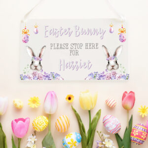 Nancy Rabbit Acrylic Plaque