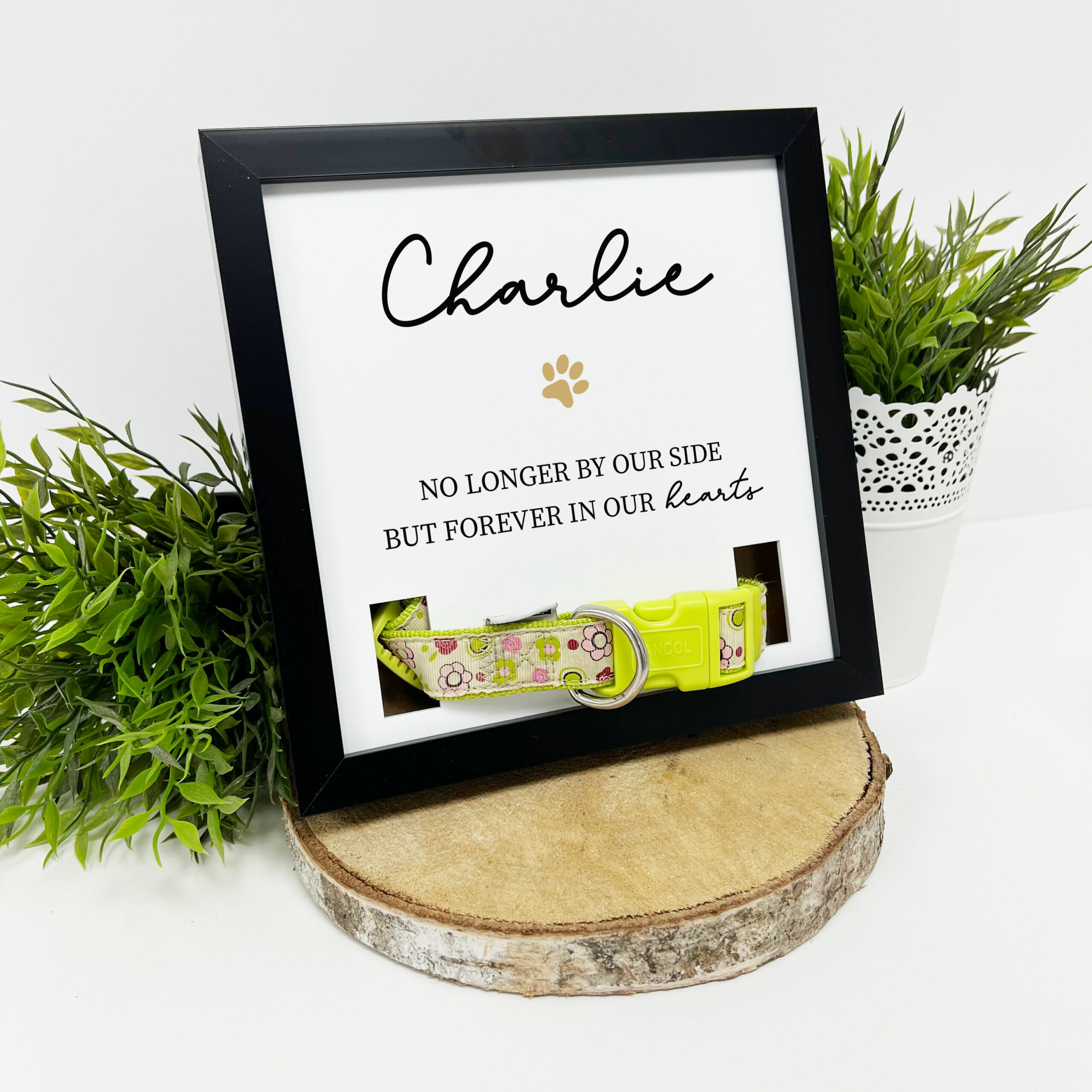 Pet Memorial Collar Frame -Forever In Our Hearts