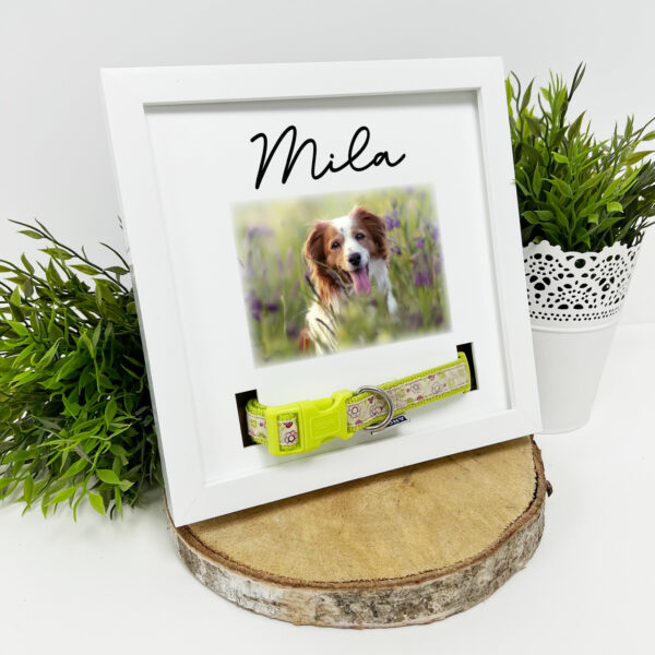 personalised dog memorial frame with photo