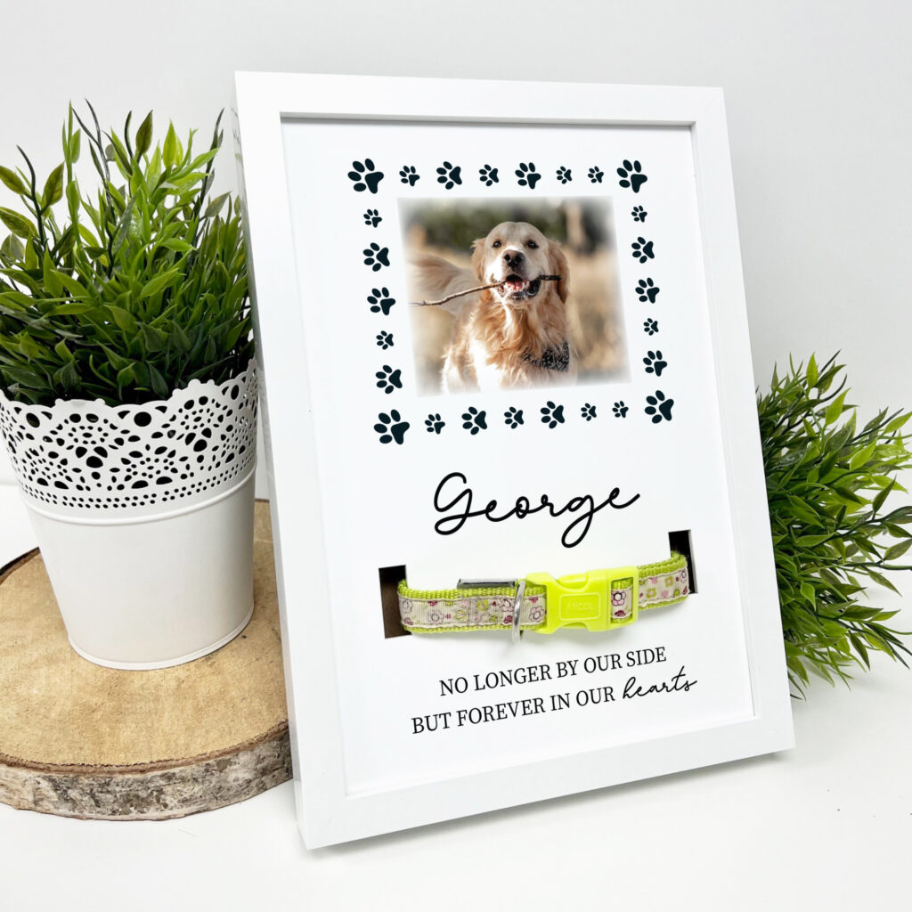 Personalised Photo Memorial Pet Collar Frame