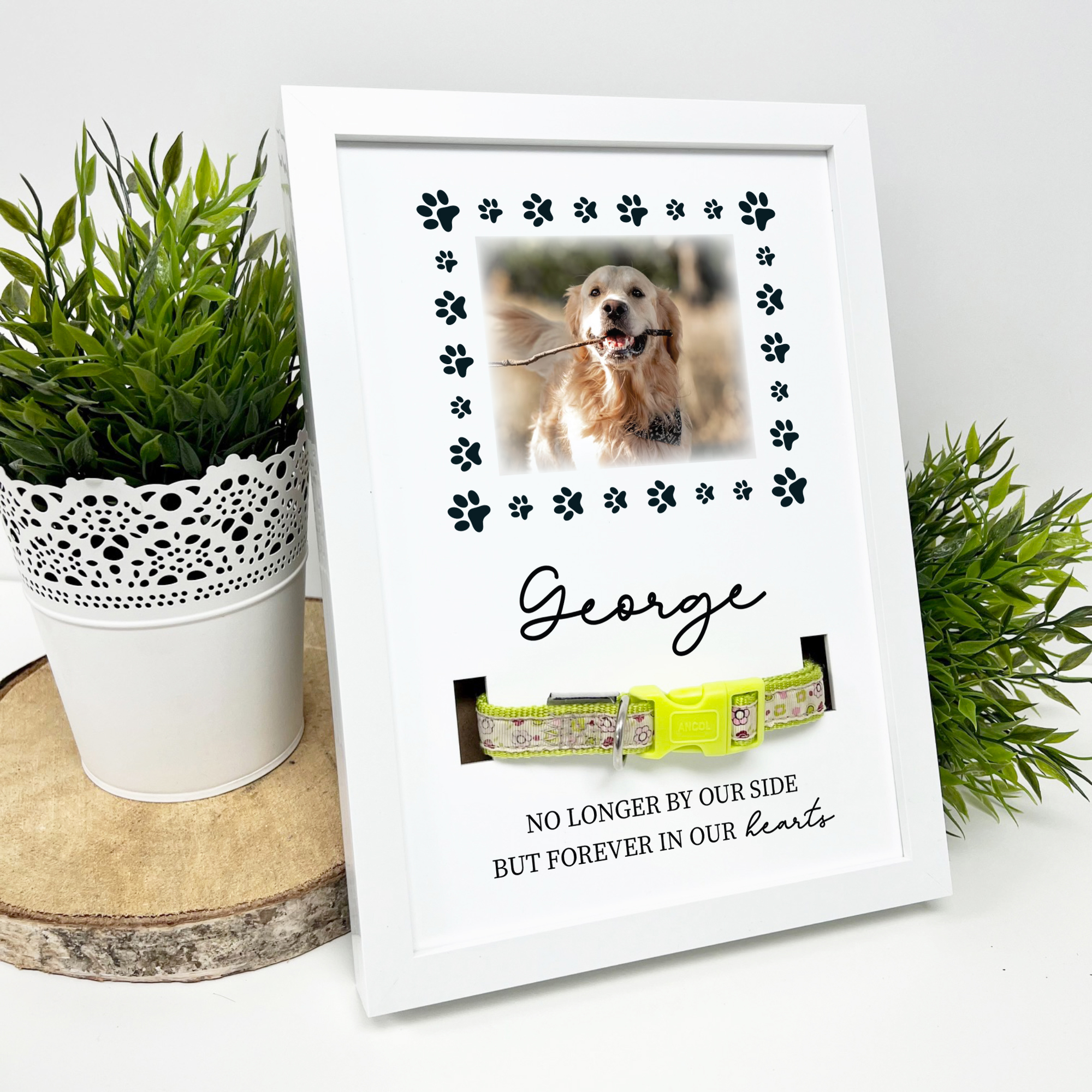 Personalised Photo Memorial Pet Collar Frame - Forever in our hearts